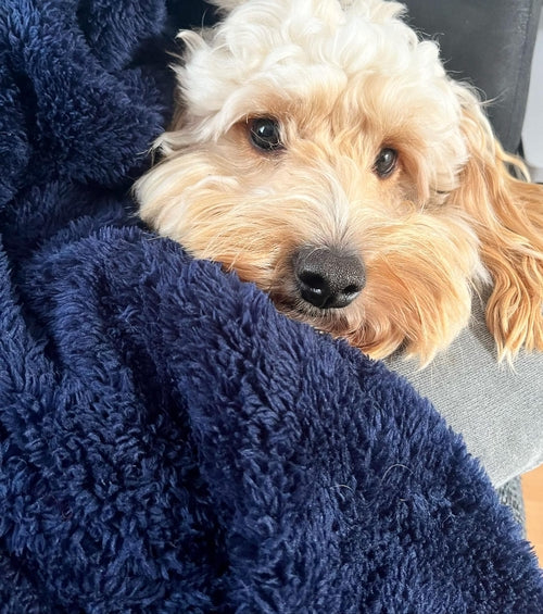 Fluffy Fleece Blanket - Soft & Warm Throw for Dogs & Cats