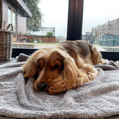 Fluffy Fleece Blanket - Soft & Warm Throw for Dogs & Cats