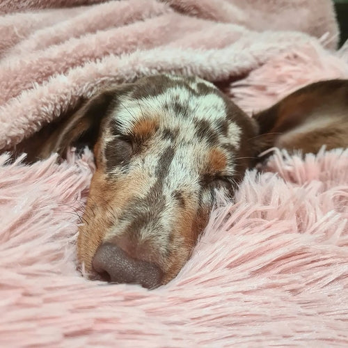 Fluffy Fleece Blanket - Soft & Warm Throw for Dogs & Cats