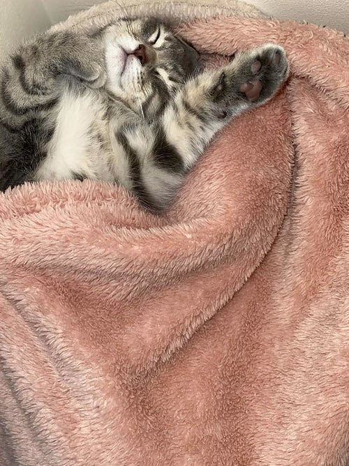 Fluffy Fleece Blanket - Soft & Warm Throw for Dogs & Cats