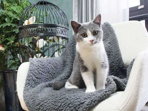 Fluffy Fleece Blanket - Soft & Warm Throw for Dogs & Cats